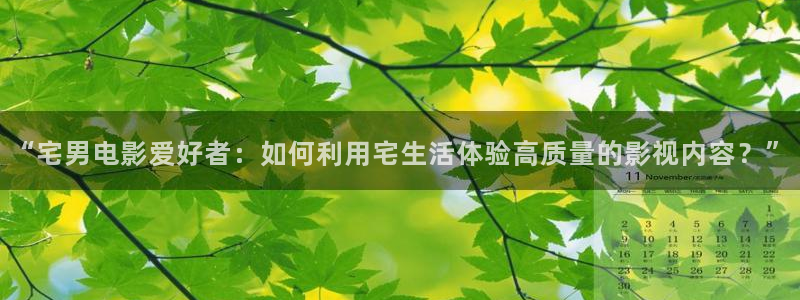 下载大海影视app：“宅男电影爱好者：如何利用宅生活体验高质量的影视内容？”