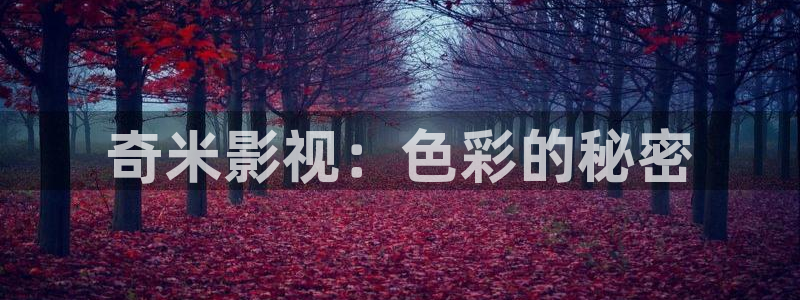 大海影视免费版下载：奇米影视：色彩的秘密