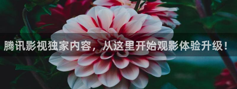 大海影视免费高清在线观看：腾讯影视独家内容，从这里开始观影体验升级！