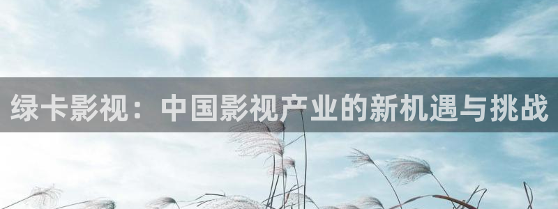 大海影视下载最新免费版：绿卡影视：中国影视产业的新机遇与挑战